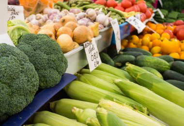 Eylül ayında piyasada farklı taze ve renkli sebze