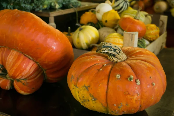 Διάφορα Νωπά Και Πολύχρωμα Λαχανικά Στην Αγορά Σεπτέμβριο — Φωτογραφία Αρχείου
