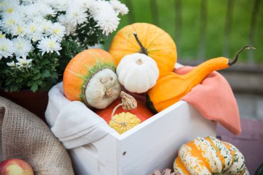 Kabaklar, çiçekler, fındık ve ahşap masa üzerinde elma natürmort Sonbahar Festivali dekorasyon