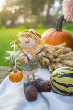 Düşüş sırasında sonbahar dekorasyon: pumpkins, çiçek, spikelets ve güdük üzerinde heykelcik sepeti