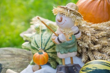 Düşüş sırasında sonbahar dekorasyon: pumpkins, çiçek, spikelets ve güdük üzerinde heykelcik sepeti