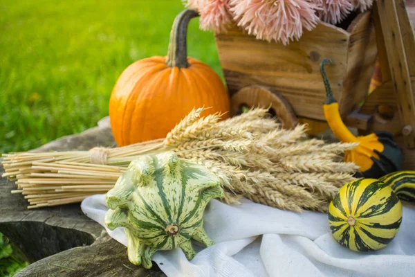 Autumn Decorations Fall Pumpkins Cart Flowers Spikelets Figurine Stump — Stock Photo, Image