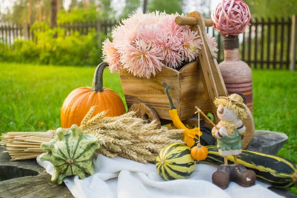 Autumn Decorations Fall Pumpkins Cart Flowers Spikelets Figurine Stump — Stock Photo, Image