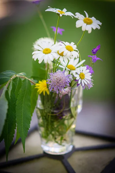 Biglietto Auguri Con Mazzo Fiori Selvatici Nella Natura Giorno Soleggiato — Foto Stock