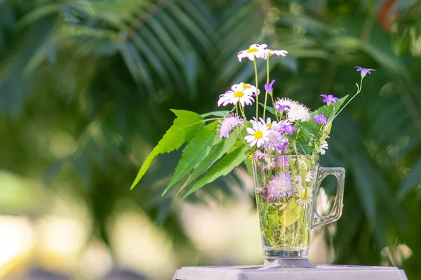 Biglietto Auguri Con Mazzo Fiori Selvatici Nella Natura Giorno Soleggiato — Foto Stock