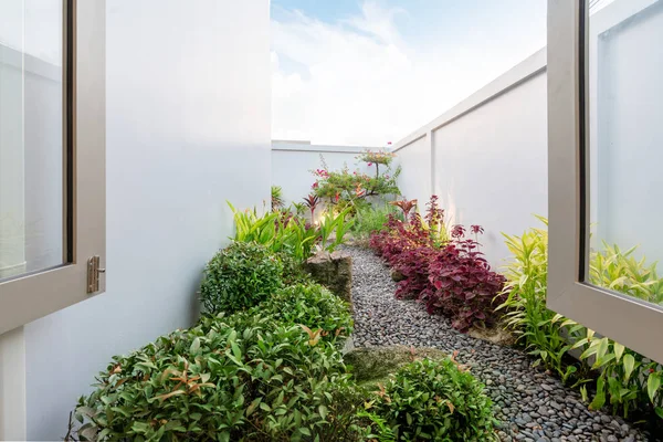 Зелений сад зовні будинку — стокове фото