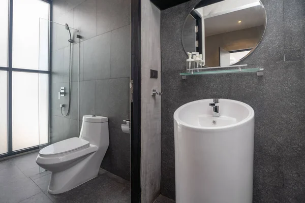 Luxusní koupelna rysy umyvadlo, záchodová mísa — Stock fotografie