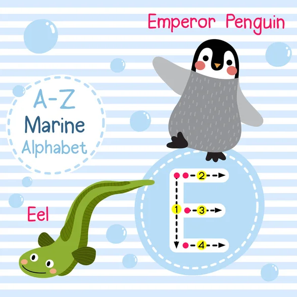 Rastreo Letras Emperador Pingüino Anguila Lindos Niños Mar Alfabeto Marino — Vector de stock