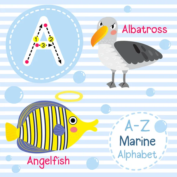 Ein Brief Auf Spurensuche Albatrosse Skalare Niedliche Kinder Meer Marine — Stockvektor