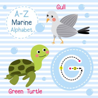 G harfi izleme. Yeşil Kaplumbağa. Martı. Sevimli çocuklar deniz deniz alfabesi flashcard. Komik çizgi film hayvanı. Çocuklar abc eğitim. İngilizce kelime öğrenme. Vektör çizimi.