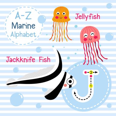 J harfi izleme. Denizanası. Jackknife Balık. Sevimli çocuklar deniz deniz alfabesi flashcard. Komik çizgi film hayvanı. Çocuklar abc eğitim. İngilizce kelime öğrenme. Vektör çizimi.