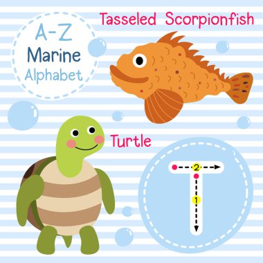 Mektup takibi. Kaplumbağa. Püsküllü Akrep balığı. Sevimli çocuklar deniz deniz alfabesi flashcard. Komik çizgi film hayvanı. Çocuklar abc eğitim. İngilizce kelime öğrenme. Vektör çizimi.