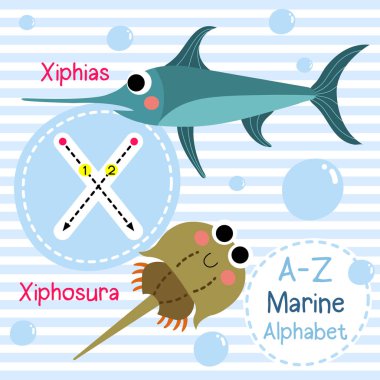 X harfi izleme. Xiphias mı? Xiphosura. Sevimli çocuklar deniz deniz alfabesi flashcard. Komik çizgi film hayvanı. Çocuklar abc eğitim. İngilizce kelime öğrenme. Vektör çizimi. 