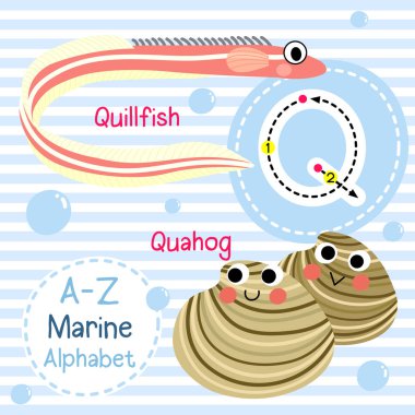 Q harfi izleme. Quahog. Quillfish, ne kadar iyi. Sevimli çocuklar deniz deniz alfabesi flashcard. Komik çizgi film hayvanı. Çocuklar abc eğitim. İngilizce kelime öğrenme. Vektör çizimi.