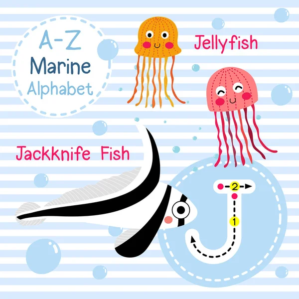 Śledzenie Liter Jellyfish Ryby Jackknife Cute Dzieci Morski Morski Alfabet — Wektor stockowy