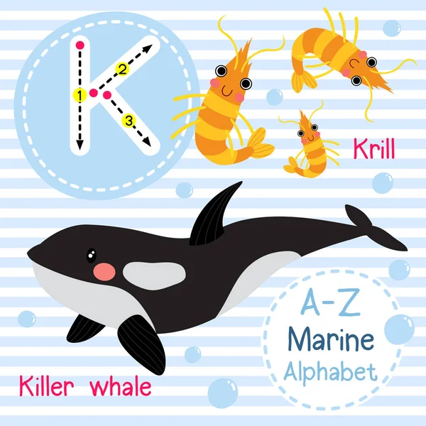 Brief Tracering Killer Whale Krill Schattige Kinderen Zee Mariene Alfabet — Stockvector