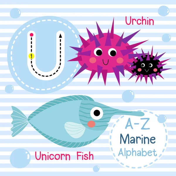 Śledzenie Liter Jednorożec Ryba Urchin Cute Dzieci Morski Morski Alfabet — Wektor stockowy