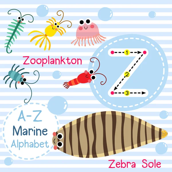 Rastreo Letras Zooplancton Sole Cebra Lindos Niños Mar Alfabeto Marino — Vector de stock