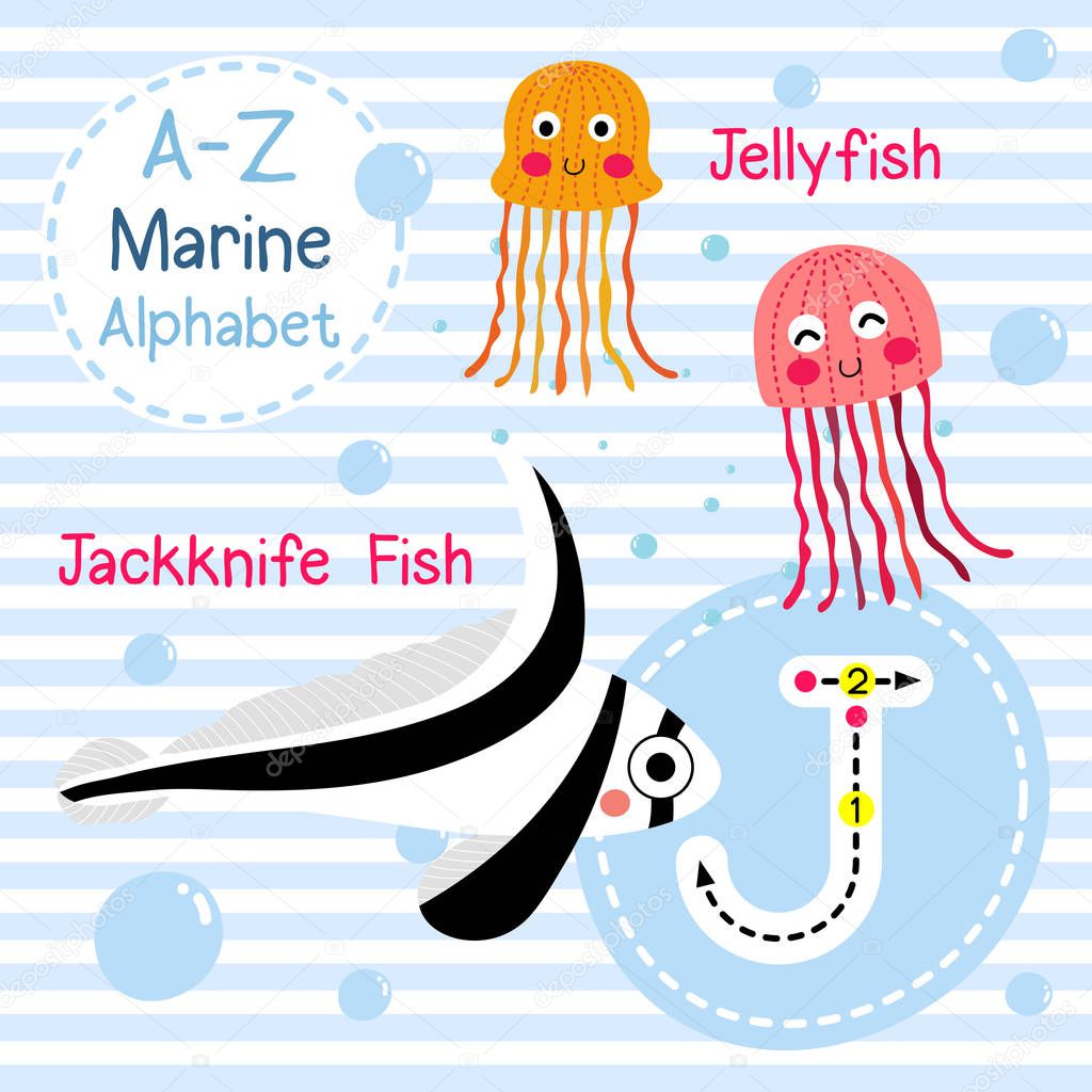 J letter tracing. Jellyfish. Jackknife Fish. Cute children sea marine alphabet flashcard. Funny cartoon animal. Kids abc education. Learning English vocabulary. Vector illustration.