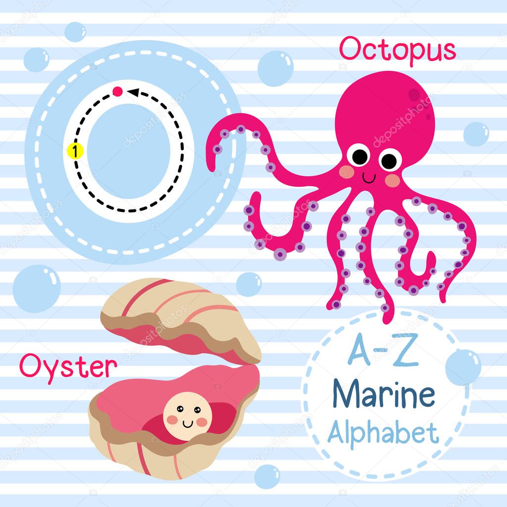 O letter tracing. Octopus. Oyster. Cute children sea marine alphabet flashcard. Funny cartoon animal. Kids abc education. Learning English vocabulary. Vector illustration.