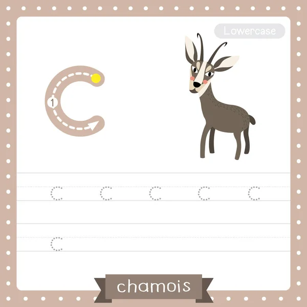 Letter Lowercase Cute Children Colorful Zoo Animals Abc Alphabet Tracing — стоковый вектор
