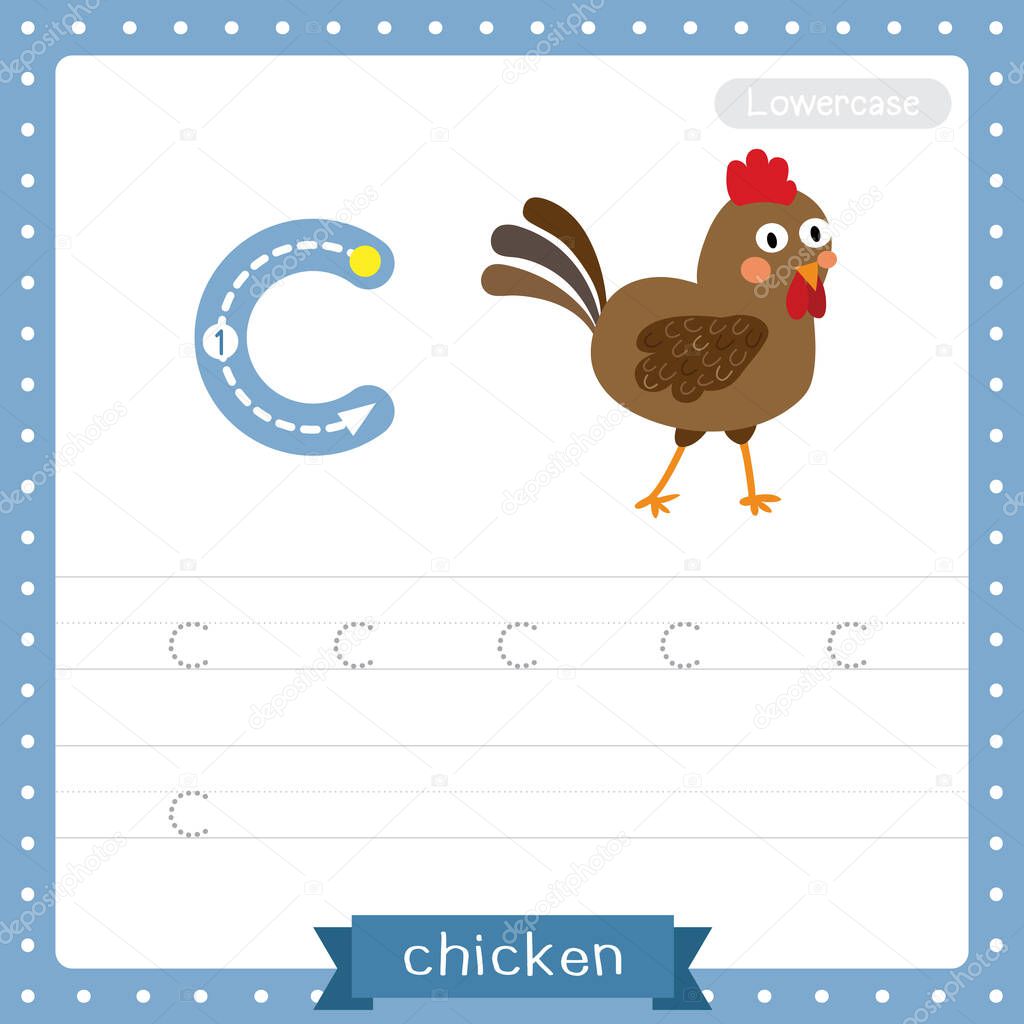 Letter C lowercase cute children colorful zoo and animals ABC alphabet tracing practice worksheet of Chicken for kids learning English vocabulary and handwriting vector illustration.