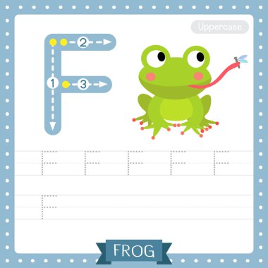 F harfi büyük çocuklar için renkli hayvanat bahçesi ve ABC alfabesindeki hayvanlar için kurbağa yeme alıştırmaları İngilizce kelime dağarcığı ve el yazısı vektör çizimi öğrenen çocuklar için sinekler..