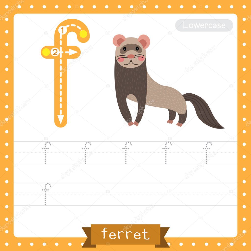 Letter F lowercase cute children colorful zoo and animals ABC alphabet tracing practice worksheet of Standing Ferret for kids learning English vocabulary and handwriting vector illustration.