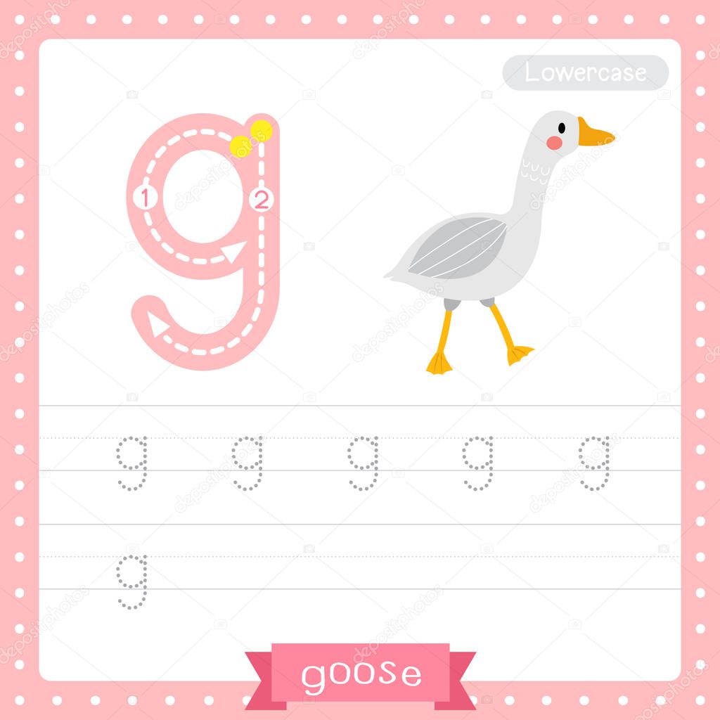 Letter G lowercase cute children colorful zoo and animals ABC alphabet tracing practice worksheet of Goose for kids learning English vocabulary and handwriting vector illustration.