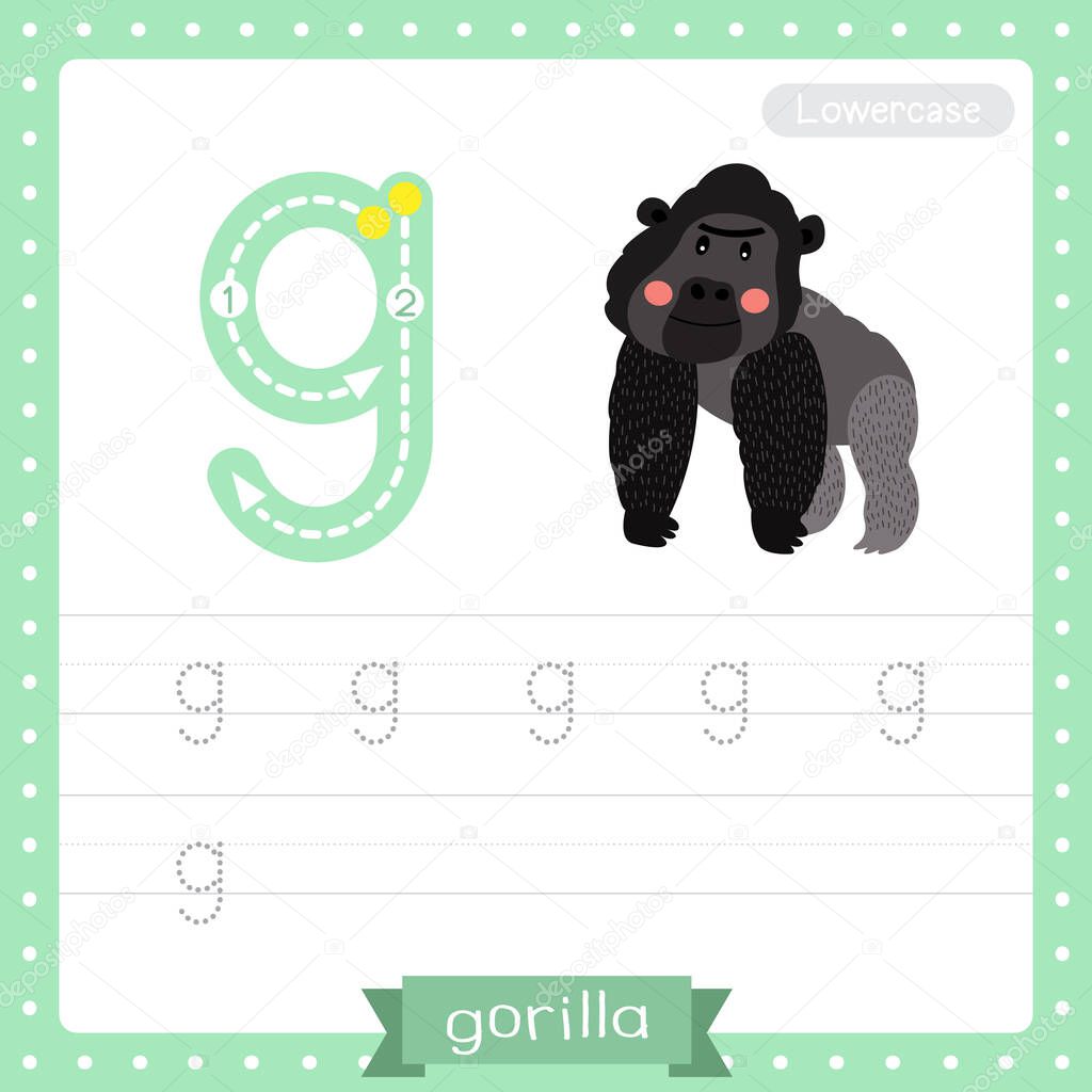 Letter G lowercase cute children colorful zoo and animals ABC alphabet tracing practice worksheet of Gorilla for kids learning English vocabulary and handwriting vector illustration.
