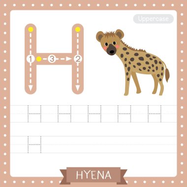 Letter H uppercase cute children colorful zoo and animals ABC alphabet tracing practice worksheet of Hyena for kids learning English vocabulary and handwriting vector illustration. clipart