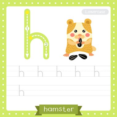 H harfi küçük çocuklar için renkli hayvanat bahçesi ve ABC alfabesindeki hayvanlar için Hamster 'ın İngilizce kelime dağarcığı ve el yazısı vektör ilüstrasyonunu öğrenen çocuklar için ayçekirdeği yeme alıştırması..