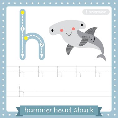 H harfi küçük çocuklar için renkli hayvanat bahçesi ve ABC alfabesindeki hayvanlar için Happy Hammerhead Shark uygulaması İngilizce kelime dağarcığı ve el yazısı vektör çizimi öğrenen çocuklar için..