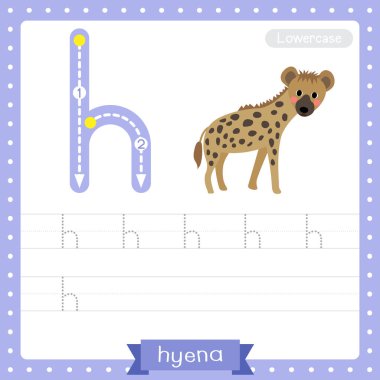 H harfi küçük çocuklar için renkli hayvanat bahçesi ve ABC alfabesindeki hayvanlar için Hyena 'nın İngilizce kelime dağarcığı ve el yazısı illüstrasyonunu öğrenen çocuklar için çalışma tablosu.