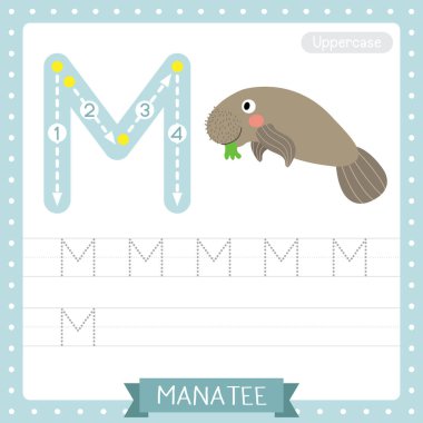 Letter M uppercase cute children colorful zoo and animals ABC alphabet tracing practice worksheet of Manatee for kids learning English vocabulary and handwriting vector illustration. clipart
