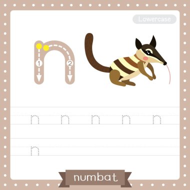 N harfi küçük çocuklar için renkli hayvanat bahçesi ve ABC alfabesindeki hayvanlar İngilizce kelime dağarcığı ve el yazısı çizimi öğrenen çocuklar için Numbat çalışma tablosu..