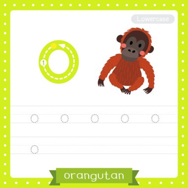 O harfi küçük çocuklar için renkli hayvanat bahçesi ve ABC alfabesindeki hayvanlar için Oturan Orangutan çalışma tablosu İngilizce kelime dağarcığı ve el yazısı vektör çizimi öğrenen çocuklar için..