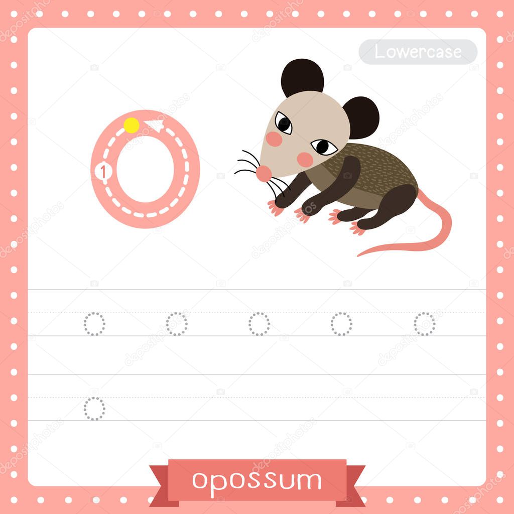Letter O lowercase cute children colorful zoo and animals ABC alphabet tracing practice worksheet of Opossum for kids learning English vocabulary and handwriting vector illustration.