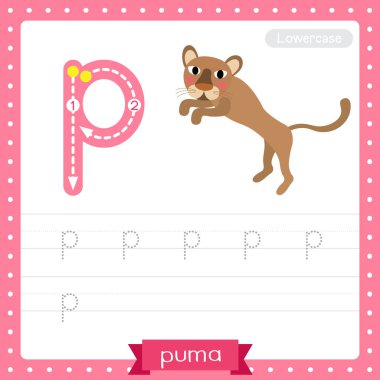 P harfi küçük çocuklar için renkli hayvanat bahçesi ve ABC alfabesindeki hayvanlar için Jumping Puma 'nın İngilizce kelime dağarcığı ve el yazısı çizimi öğrenen çocuklar için çalışma tablosu..