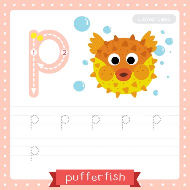 Letter P lowercase cute children colorful zoo and animals ABC alphabet tracing practice worksheet of Pufferfish for kids learning English vocabulary and handwriting vector illustration. clipart