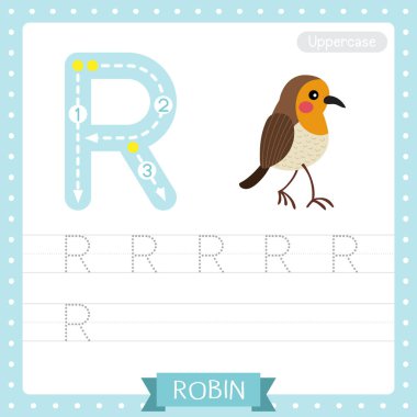 Letter R uppercase cute children colorful zoo and animals ABC alphabet tracing practice worksheet of Walking Robin bird for kids learning English vocabulary and handwriting vector illustration. clipart