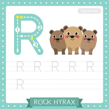 Letter R uppercase cute children colorful zoo and animals ABC alphabet tracing practice worksheet of Rock Hyrax family for kids learning English vocabulary and handwriting vector illustration. clipart