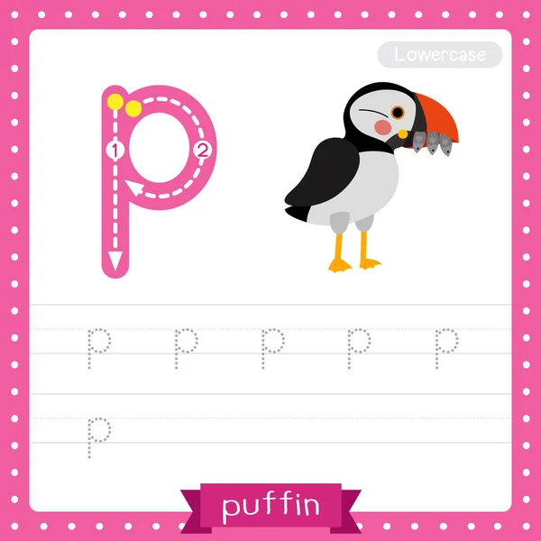 Letter Lowercase Cute Children Colorful Zoo Animals Abc Alphabet Tracing — стоковый вектор