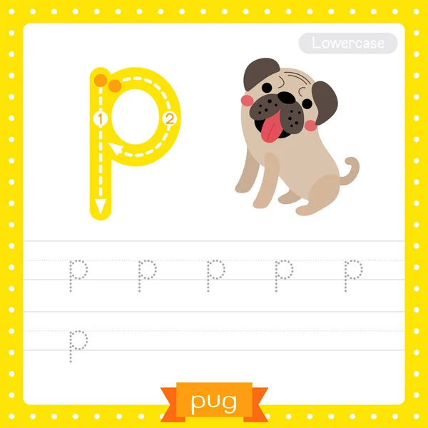 文字b小文字かわいい子供カラフルな動物園や動物abcのアルファベット追跡練習ワークシート英語の語彙や手書きベクトルイラストを学ぶためのbisonの ストックベクター C Natchapohn