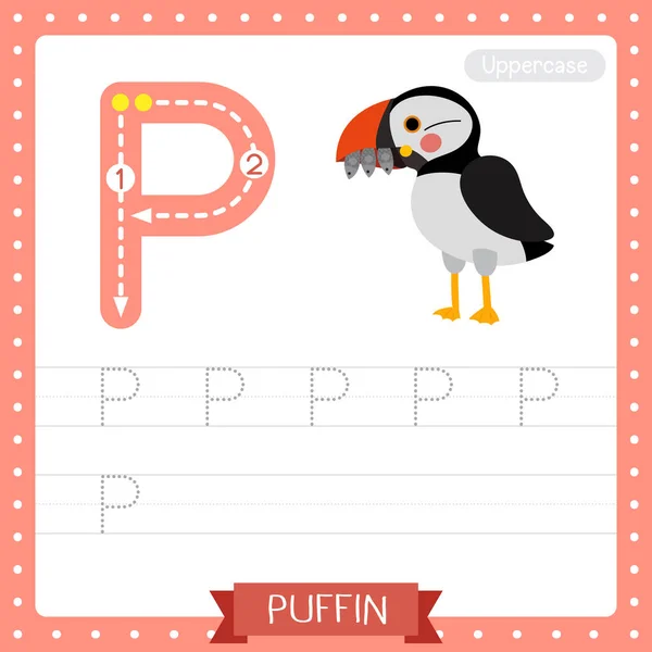 Letter Uppercase Cute Children Colorful Zoo Animals Abc Alphabet Tracing — стоковый вектор