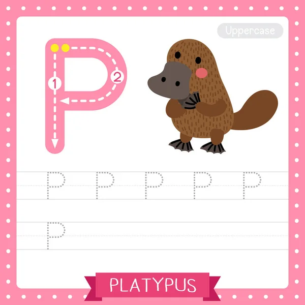 Letter Uppercase Cute Children Colorful Zoo Animals Abc Alphabet Tracing — стоковый вектор