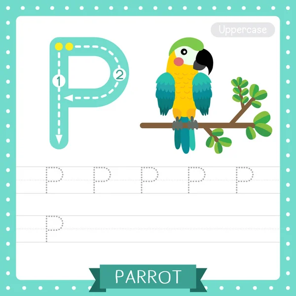 Letter Uppercase Cute Children Colorful Zoo Animals Abc Alphabet Tracing — стоковый вектор