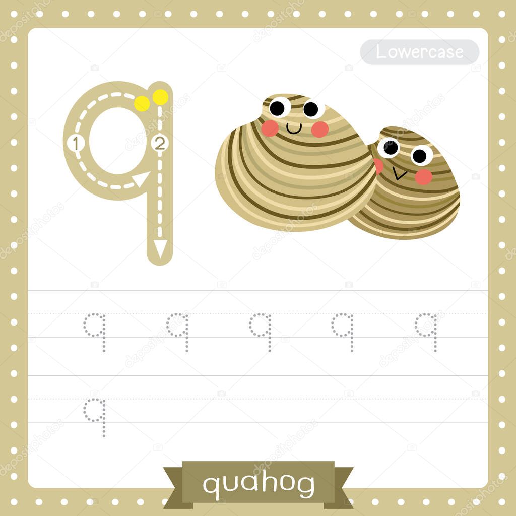 Letter Q lowercase cute children colorful zoo and animals ABC alphabet tracing practice worksheet of Quahog for kids learning English vocabulary and handwriting vector illustration.