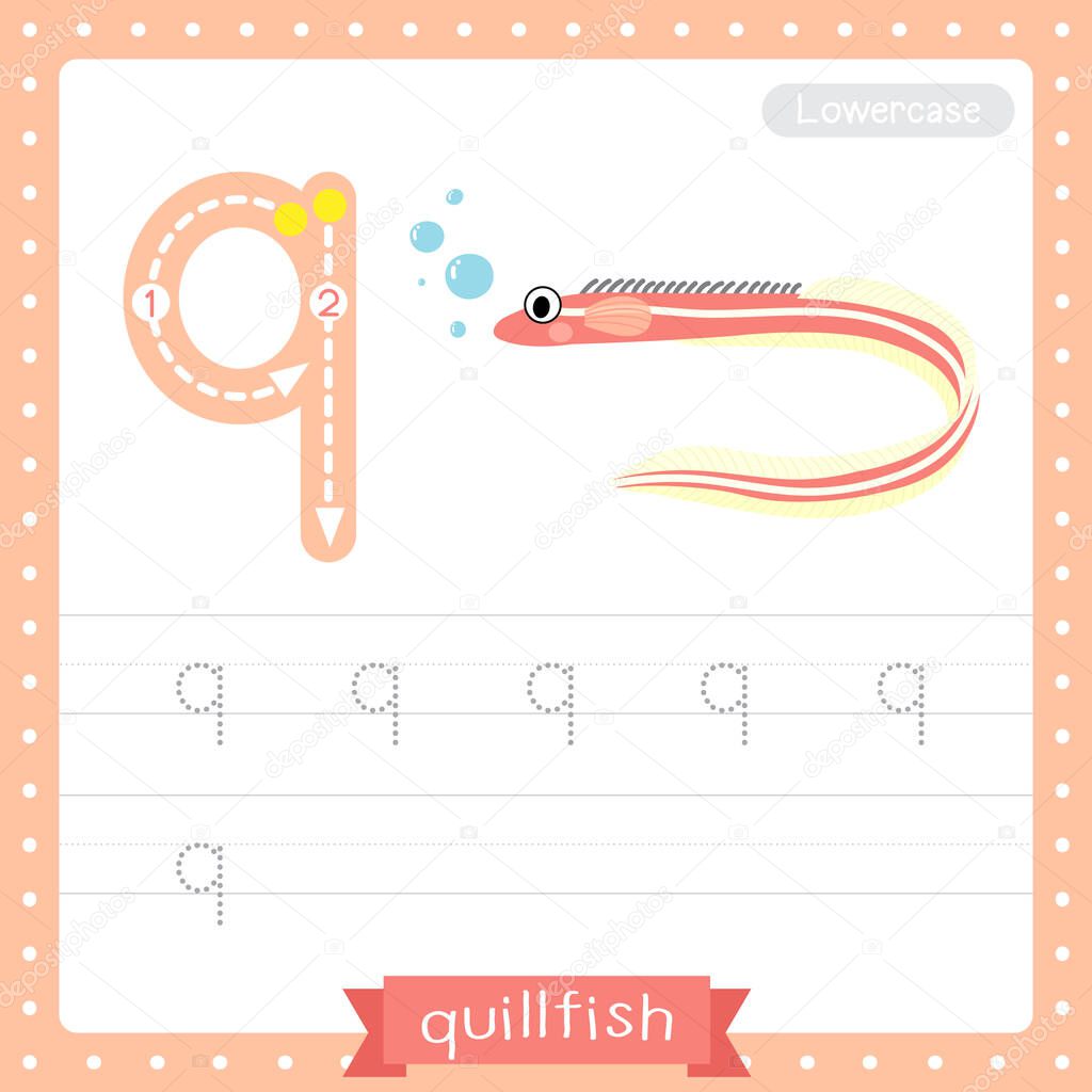 Letter Q lowercase cute children colorful zoo and animals ABC alphabet tracing practice worksheet of Quillfish for kids learning English vocabulary and handwriting vector illustration.