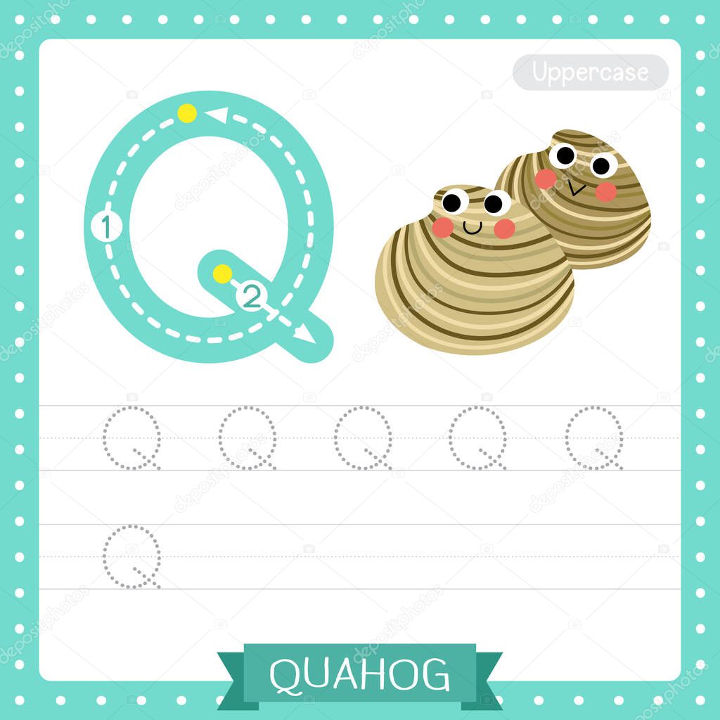Letter Q uppercase cute children colorful zoo and animals ABC alphabet tracing practice worksheet of Quahog for kids learning English vocabulary and handwriting vector illustration.